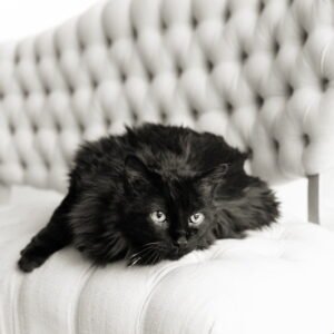 Frances